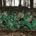Ein Schrei im Wald