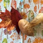 Herbstglück